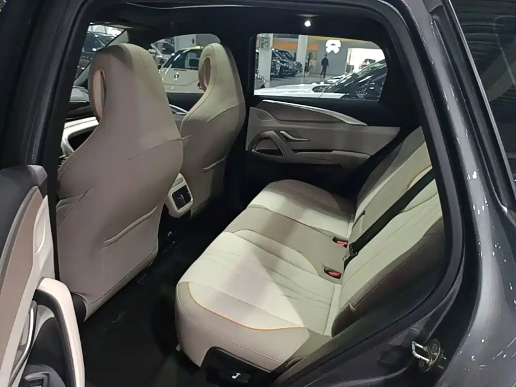 BYD Pro New Energy — миниатюра 17