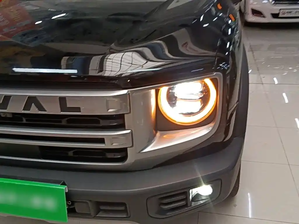 Haval Big Dog — миниатюра 24