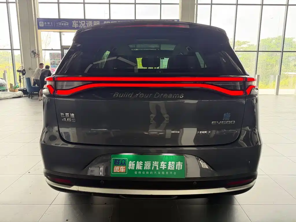 BYD Tang New Energy — миниатюра 6