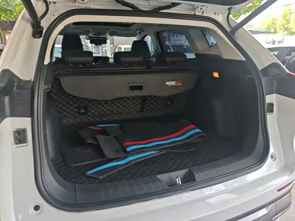 Haval H6 — миниатюра 19