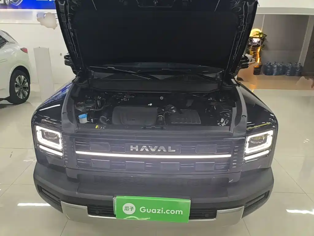Haval Menglong New Energy — миниатюра 20