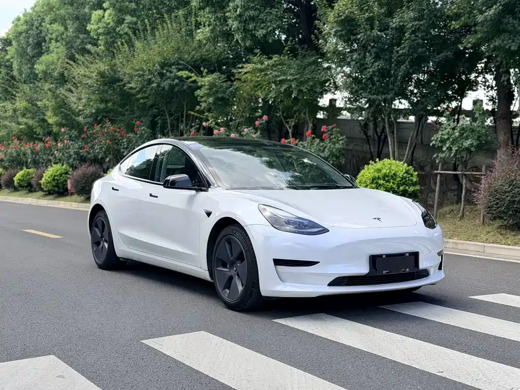 Tesla Model 3 — миниатюра 2