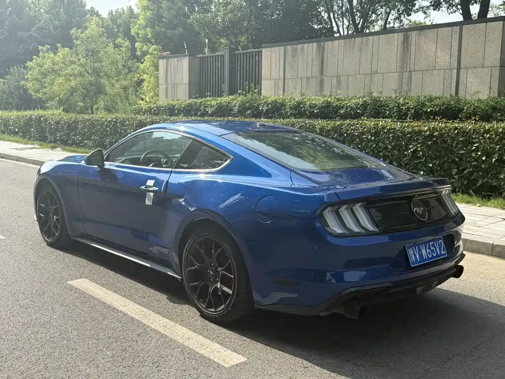 Ford Mustang — миниатюра 8