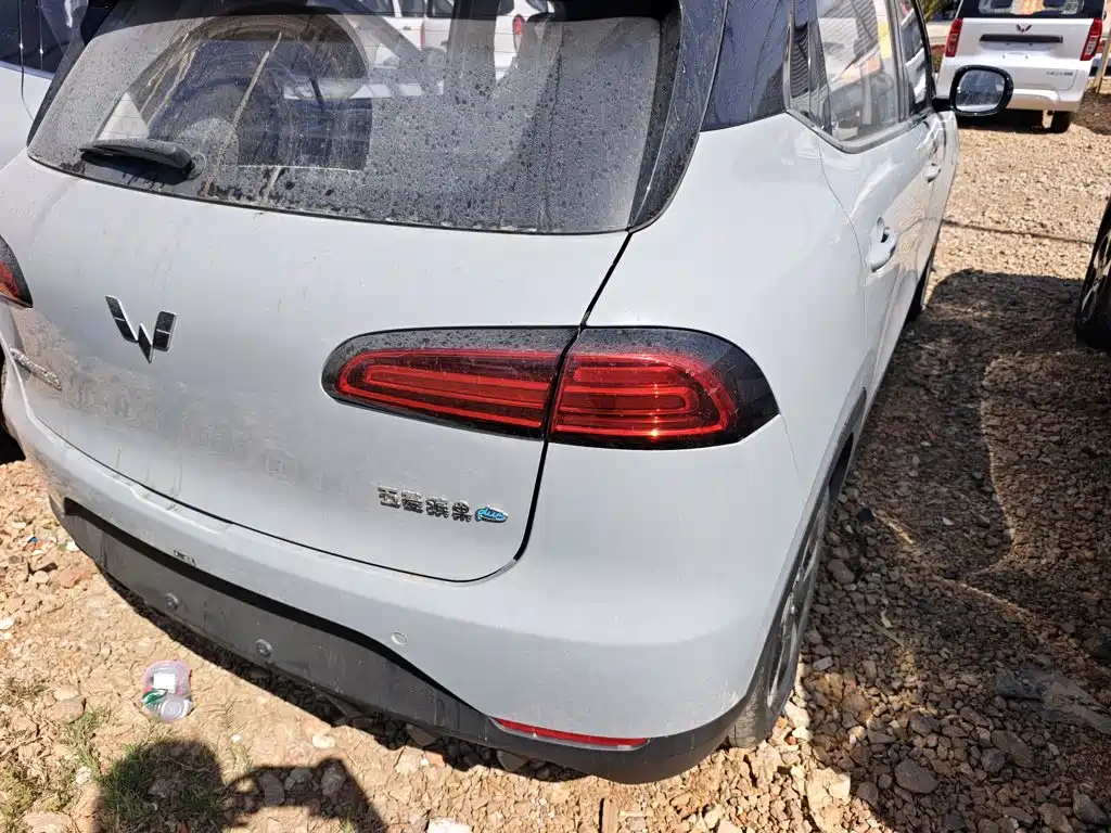Wuling BinguoPLUS PLUS 2024 510km мест