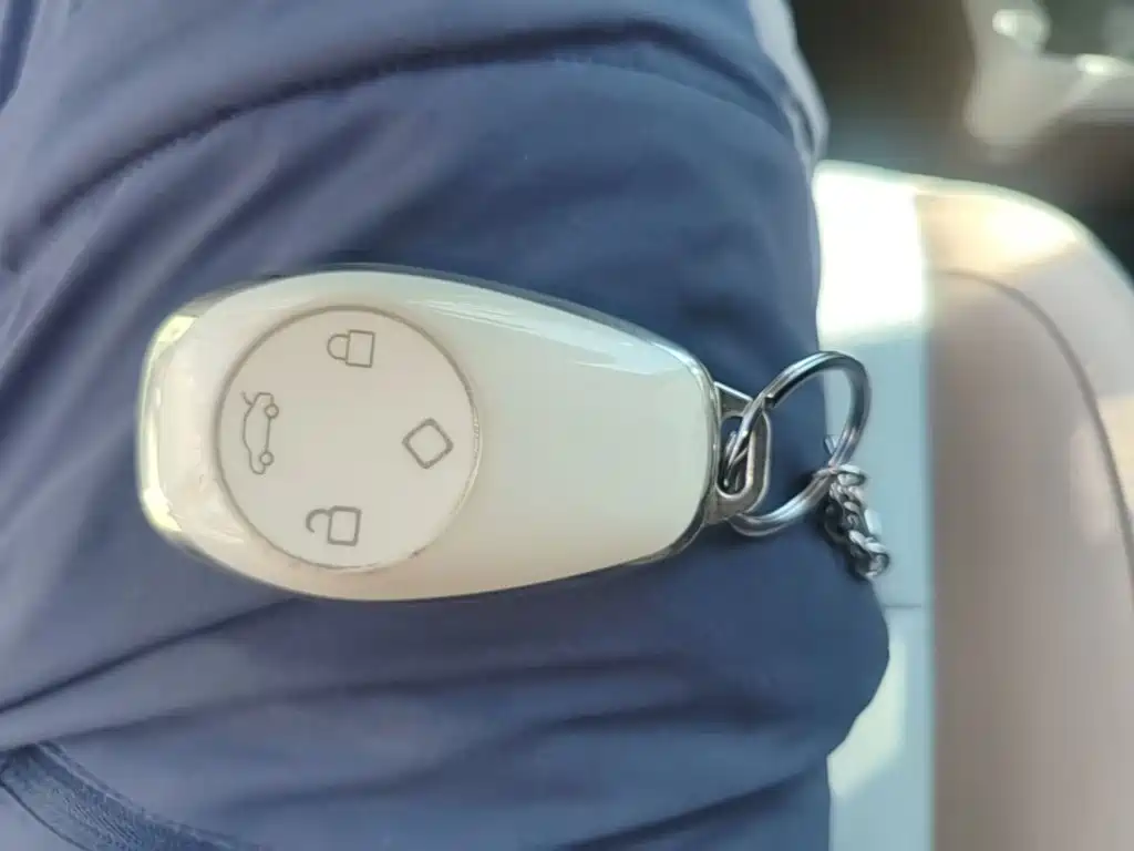 Leapmotor Leapmotor T03 — миниатюра 9