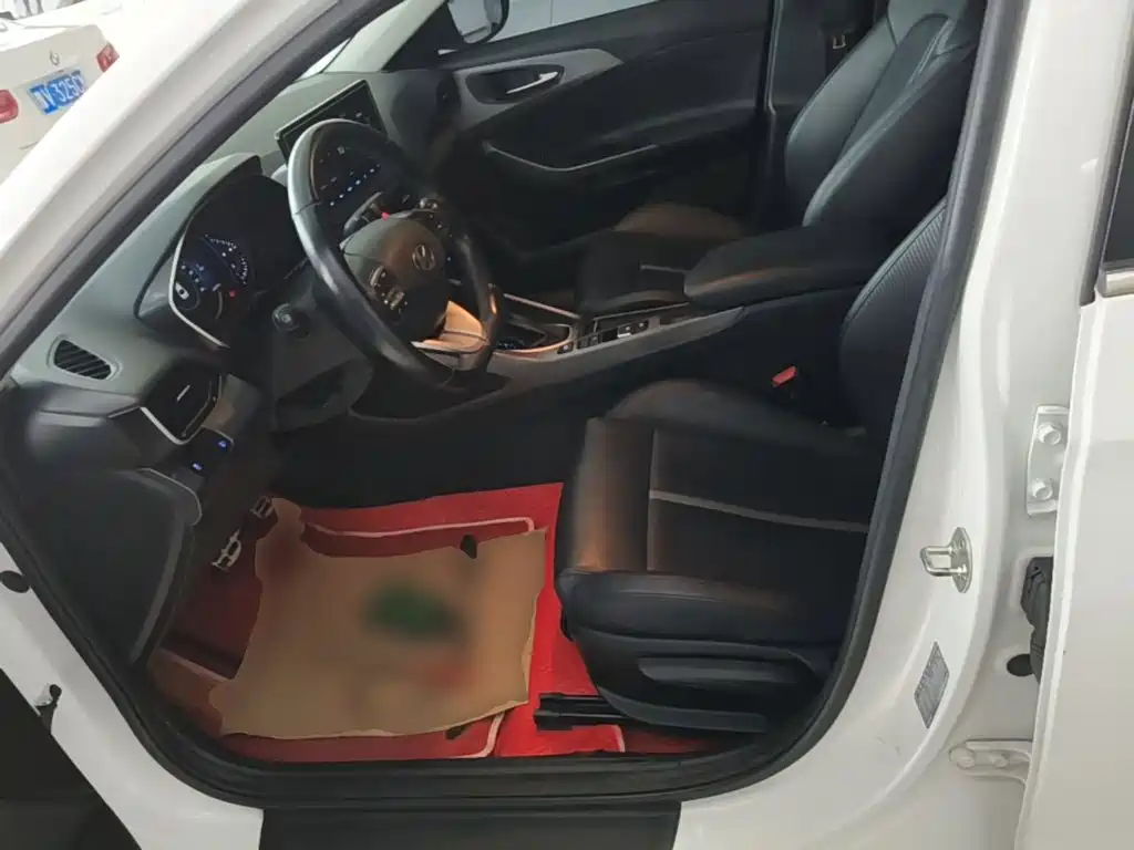 Hyundai Fista — миниатюра 15