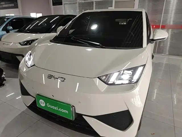2025 BYD Seagull