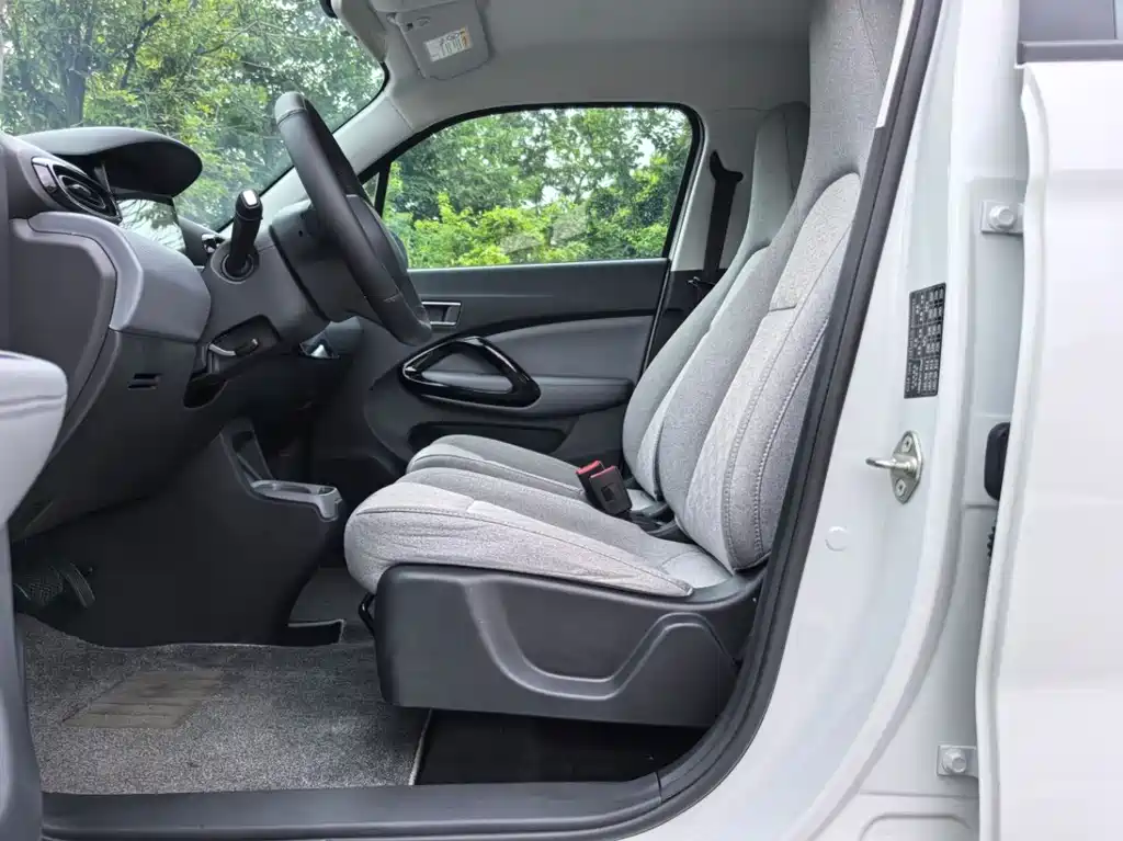 Leapmotor T03 2024 310