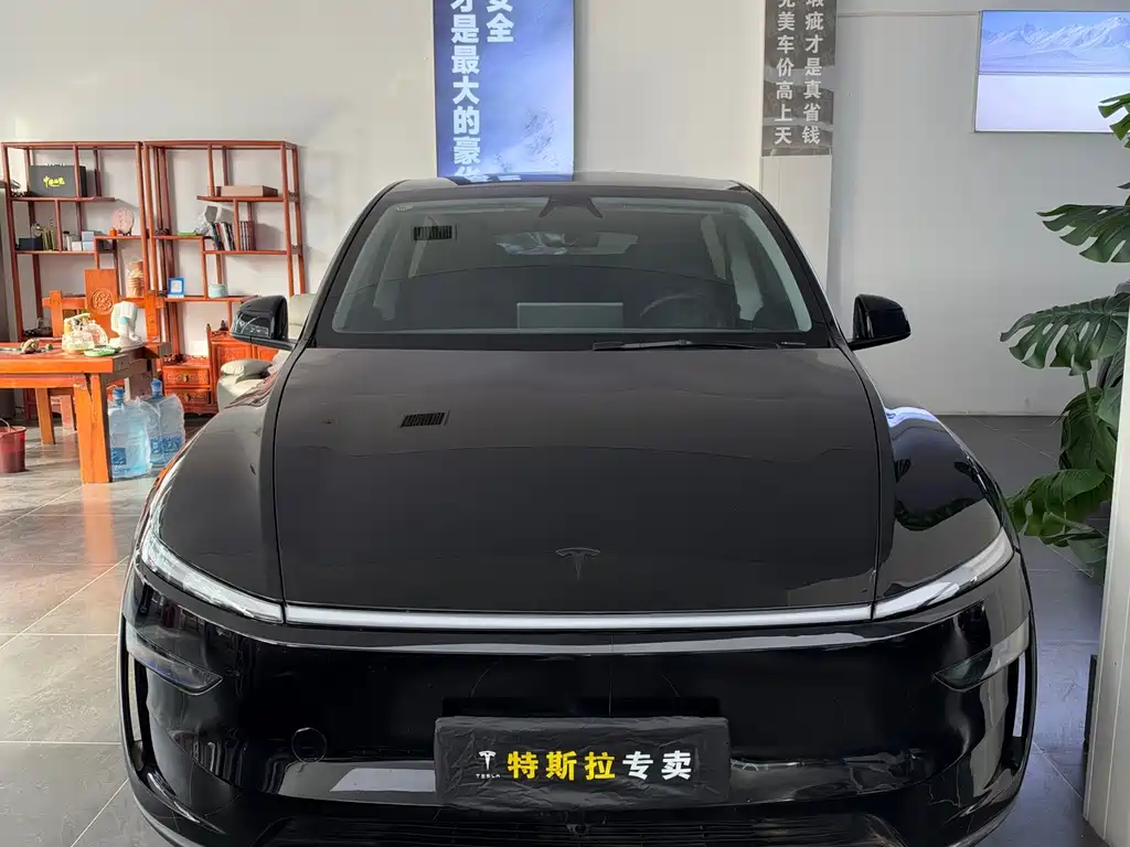 Tesla Model Y — миниатюра 2