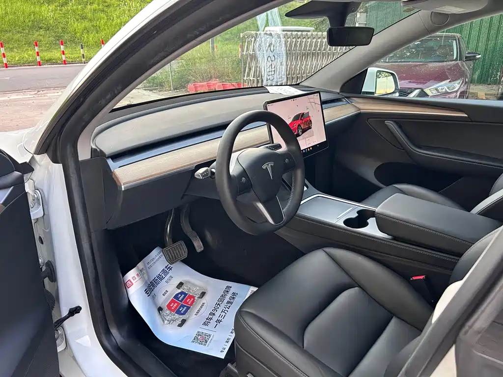 Tesla Model Y — миниатюра 5