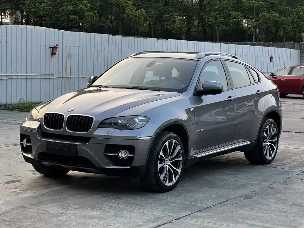BMW X6 2010