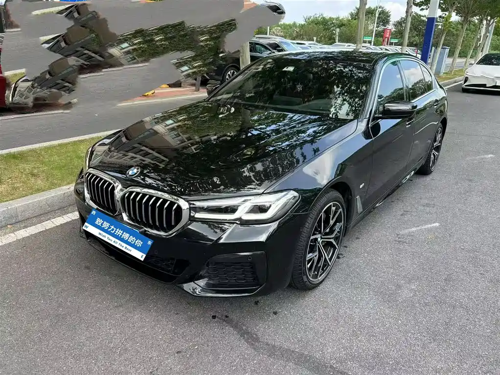 BMW 5 Series 2020
