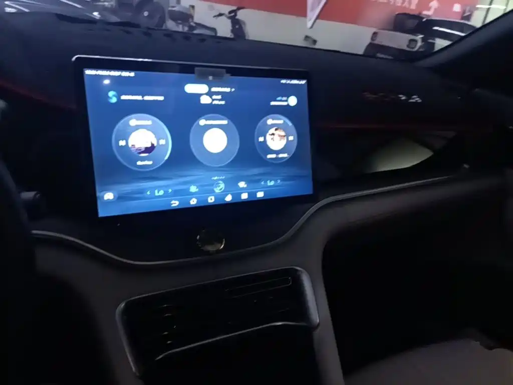 BYD PLUS New Energy — миниатюра 10