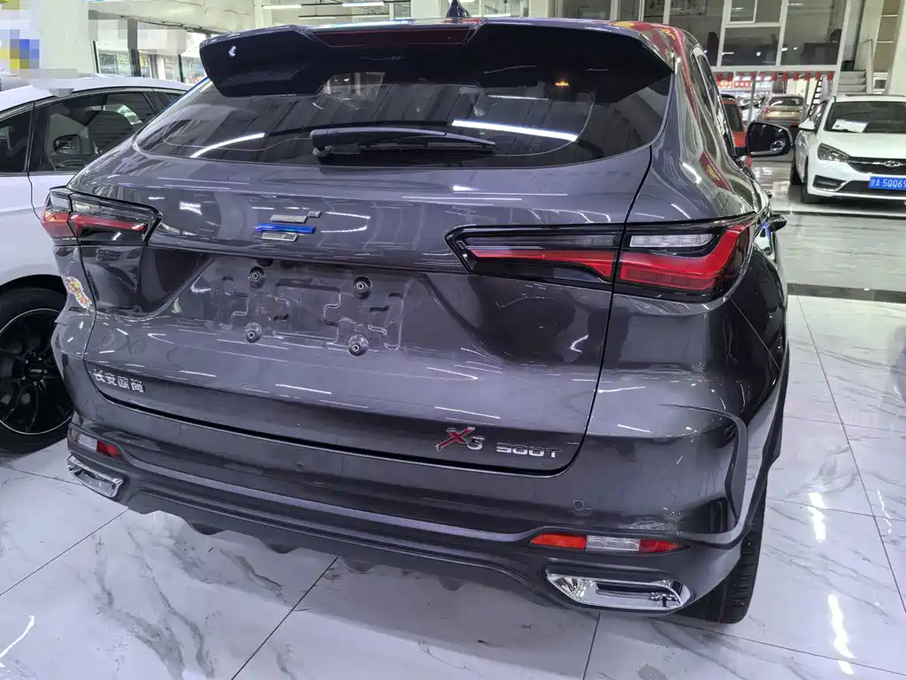 Oshan Oushang X5 — миниатюра 5