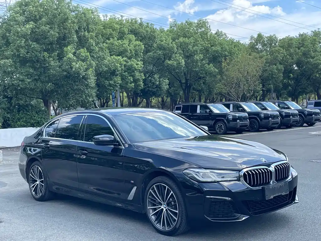 BMW 5 Series — миниатюра 3