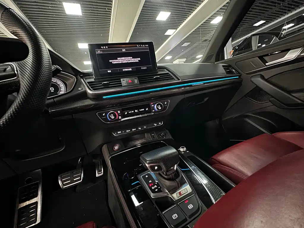 Audi SQ5 — миниатюра 15