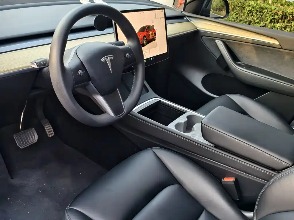 Tesla Model Y — миниатюра 8