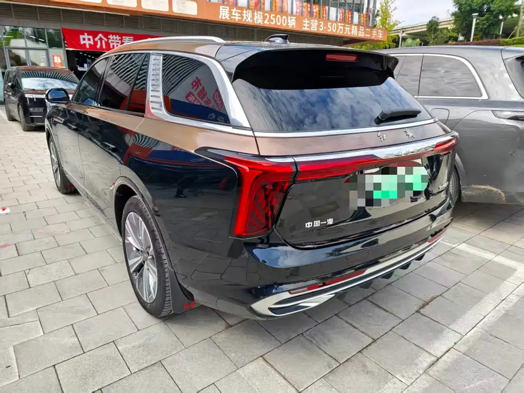Hongqi Hongqi E-HS9 — миниатюра 14