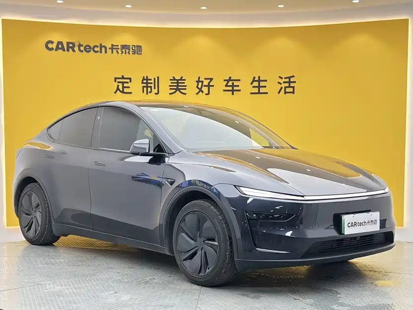 Tesla Model Y — миниатюра 2
