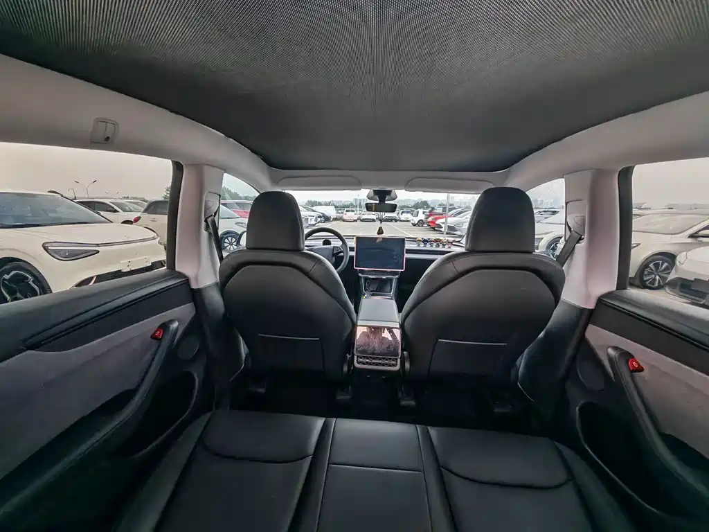 Tesla Model Y — миниатюра 9