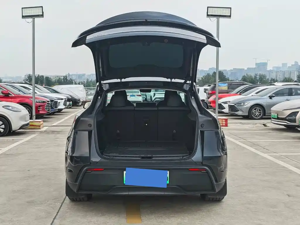 Tesla Model Y — миниатюра 8