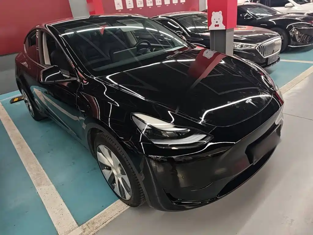 Tesla Model Y — миниатюра 4