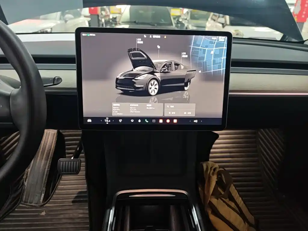 Tesla Model Y — миниатюра 13