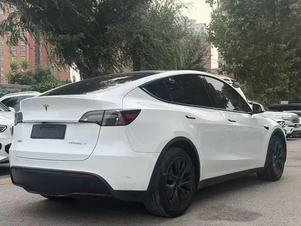 Tesla Model Y — миниатюра 3