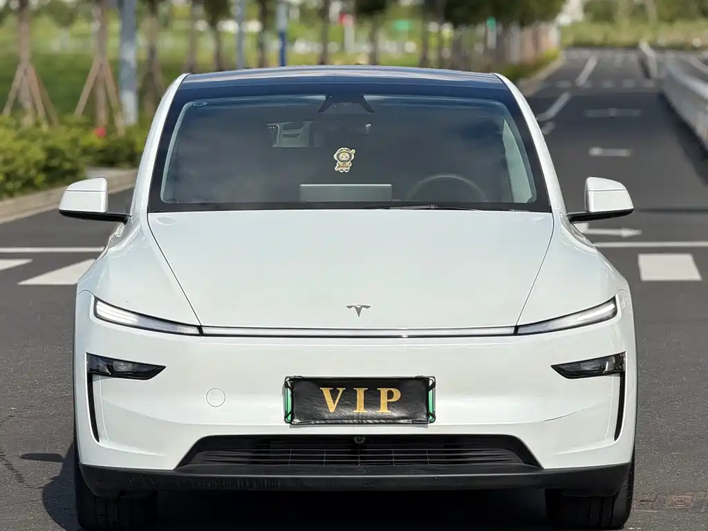 Tesla Model Y — миниатюра 11
