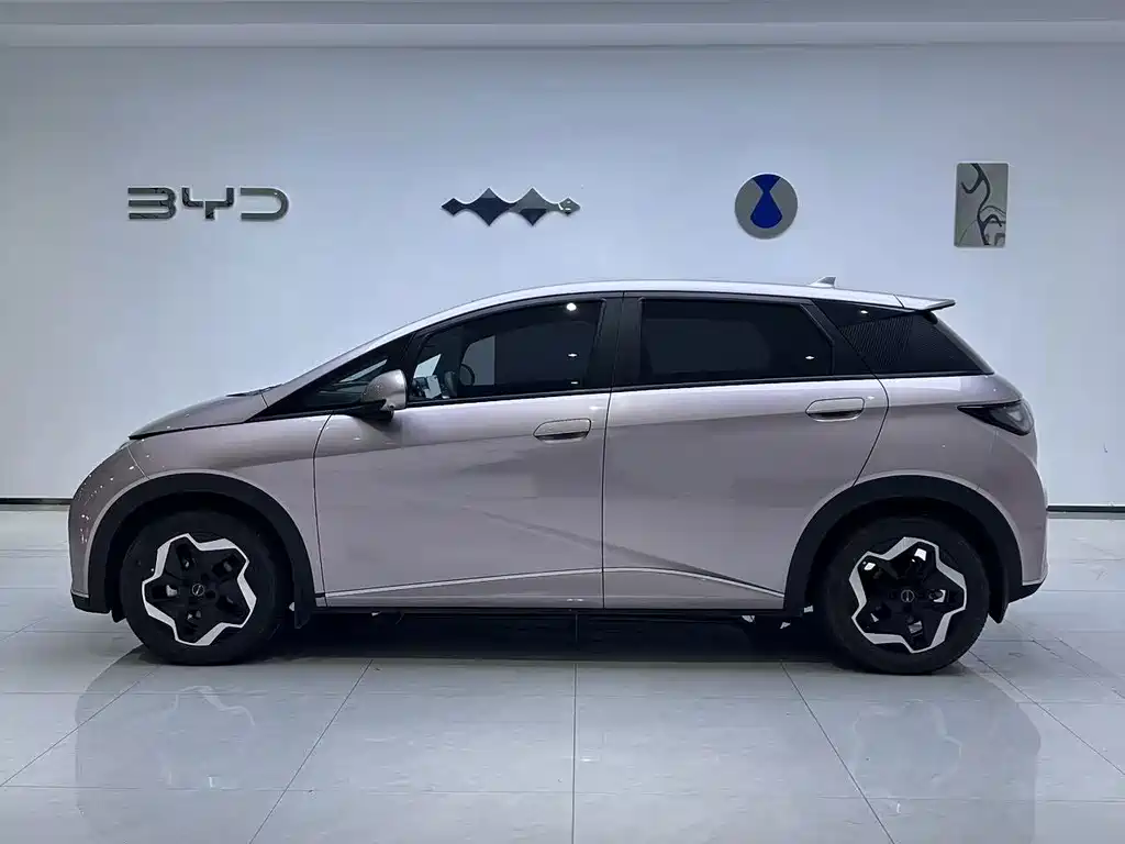 BYD Dolphin — миниатюра 2