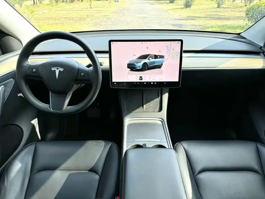 Tesla Model Y — миниатюра 4