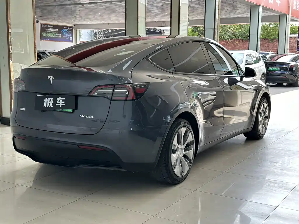 Tesla Model Y — миниатюра 6