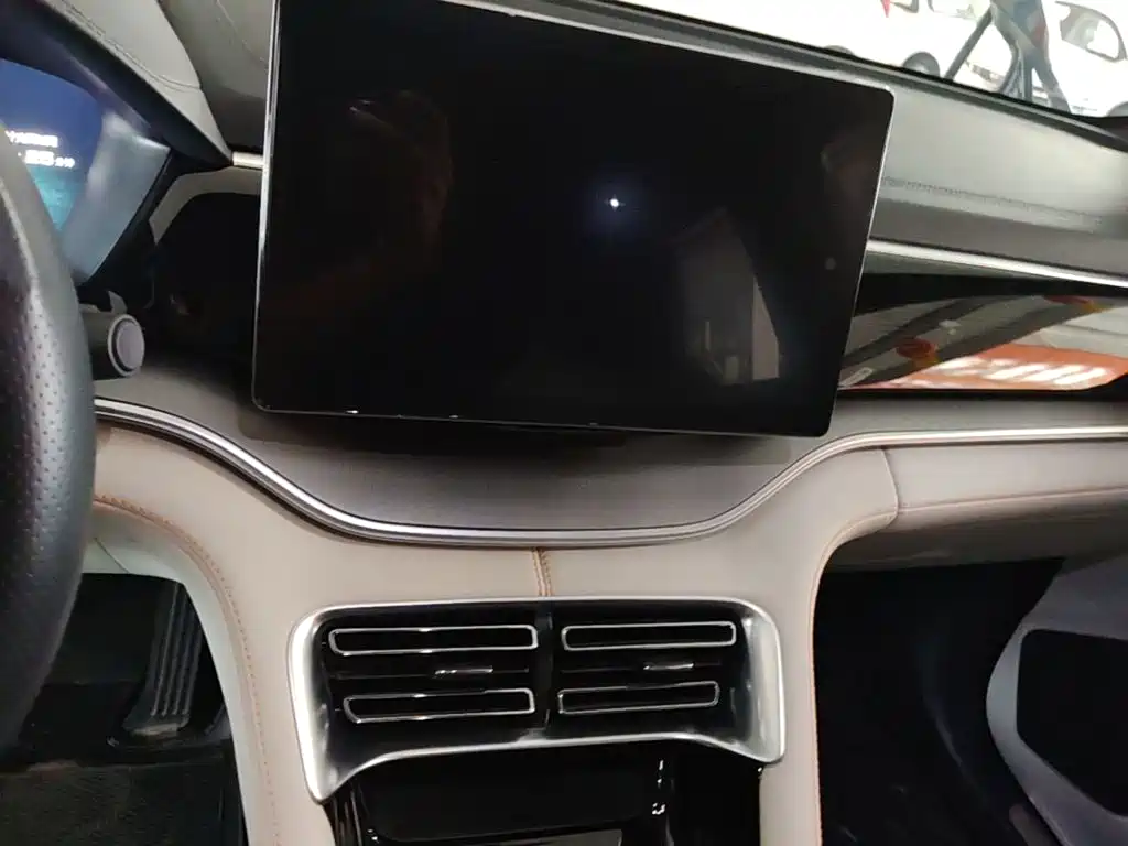 BYD PLUS New Energy — миниатюра 13