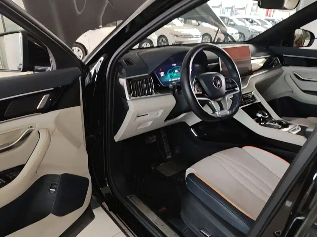 BYD PLUS New Energy — миниатюра 16