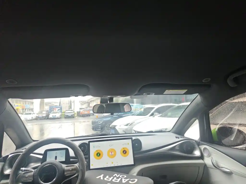 BYD Dolphin — миниатюра 18