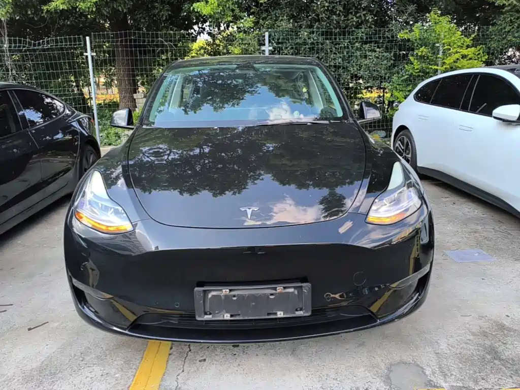 Tesla Model Y — миниатюра 3