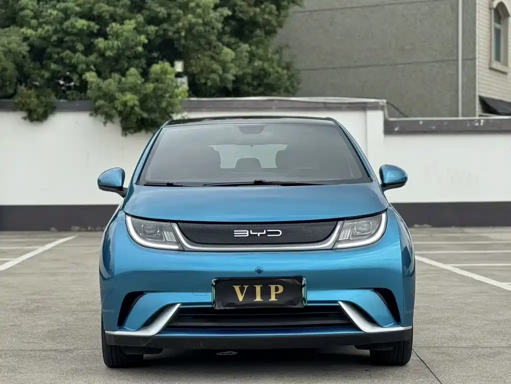 BYD Dolphin — миниатюра 2