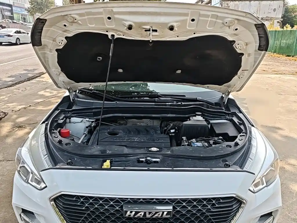 Haval M6 — миниатюра 20
