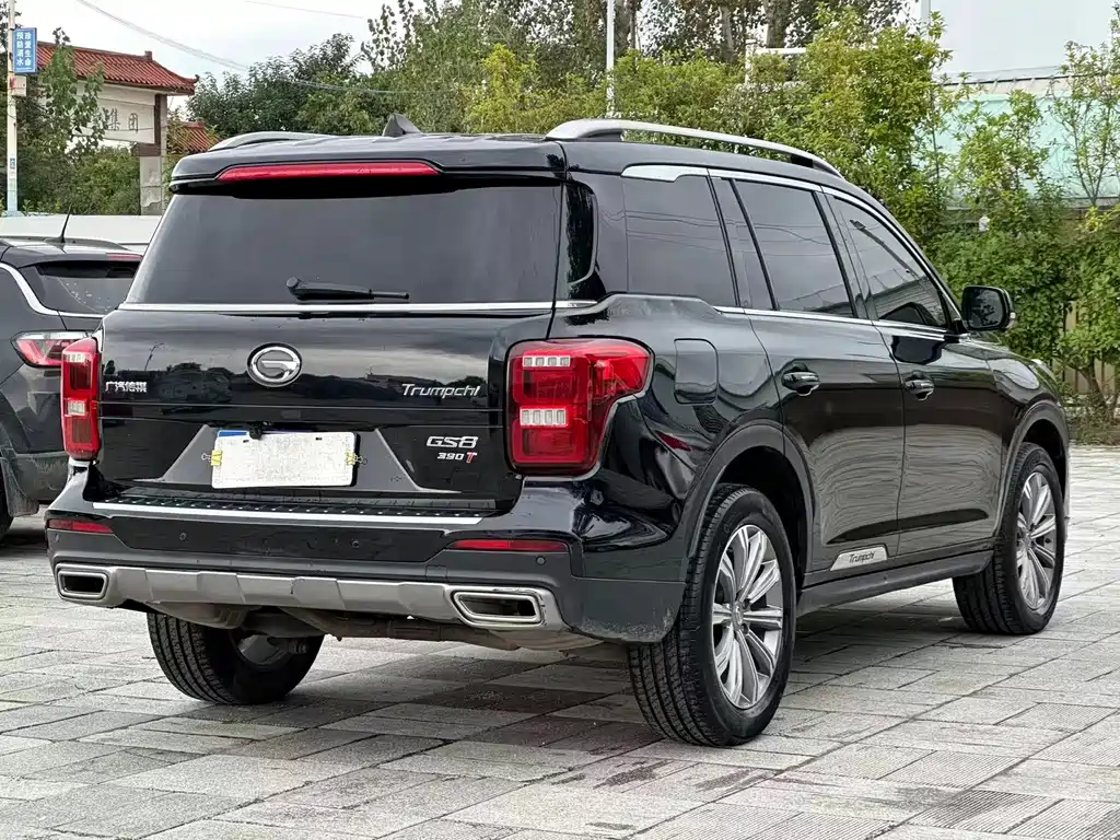 GAC Motor Trumpchi GS8 — миниатюра 9