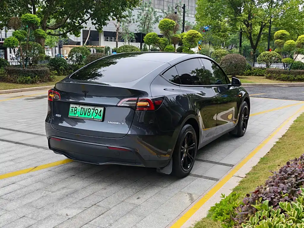 Tesla Model Y — миниатюра 9