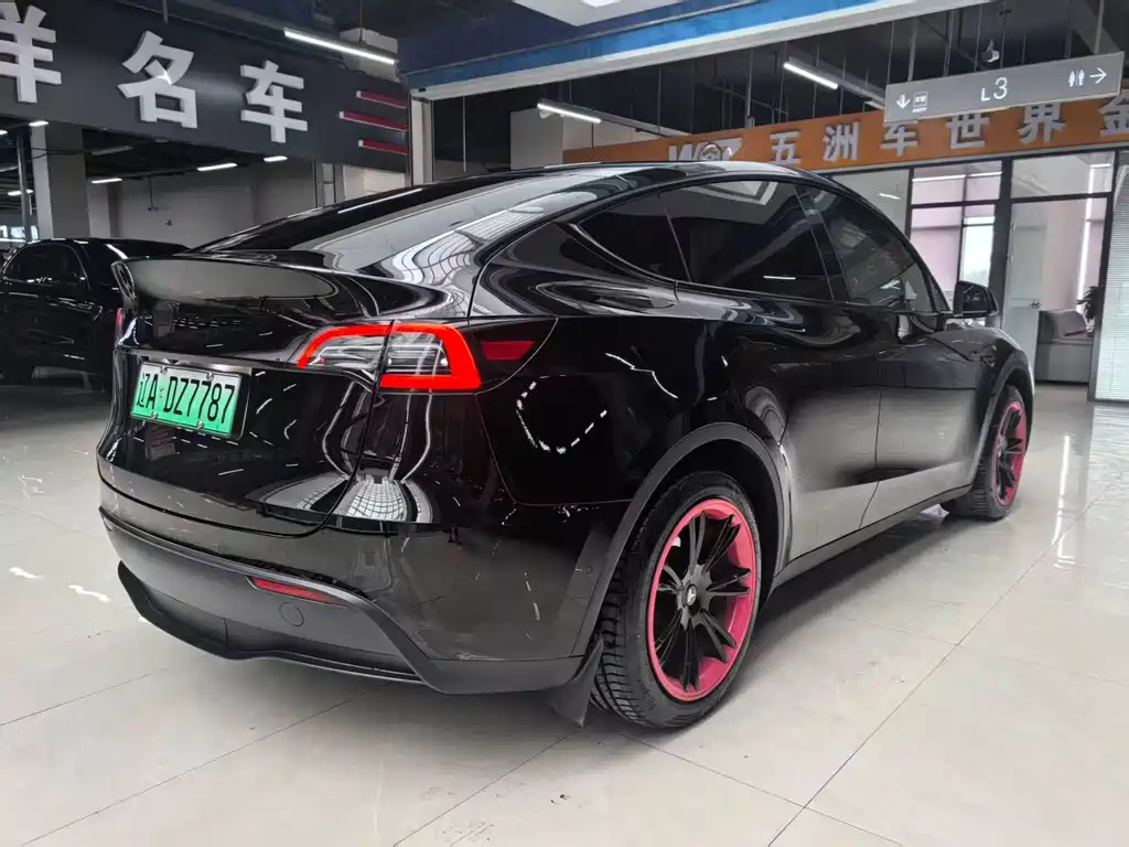 Tesla Model Y — миниатюра 4