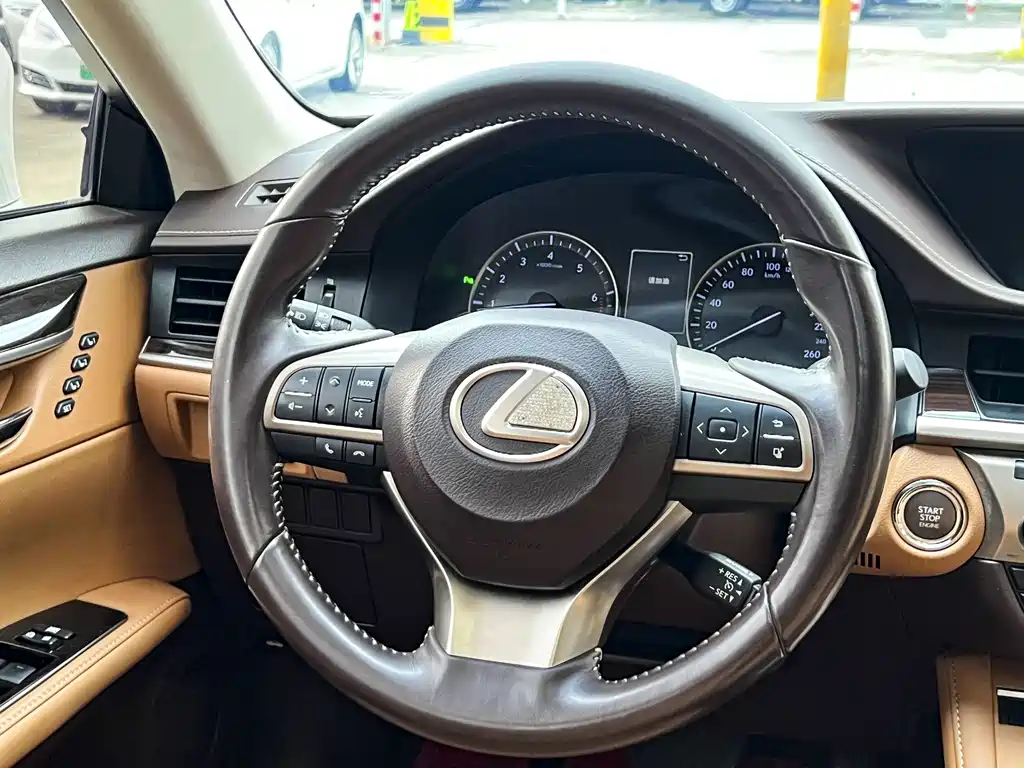 Lexus ES 250 Classic Edition, фото 9