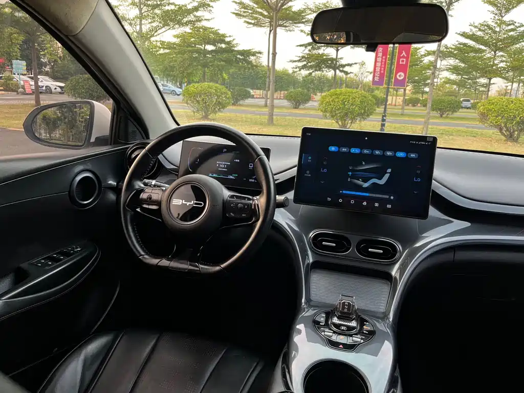 BYD e2 — миниатюра 11