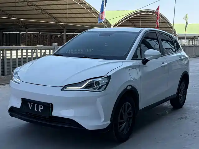 Neta V