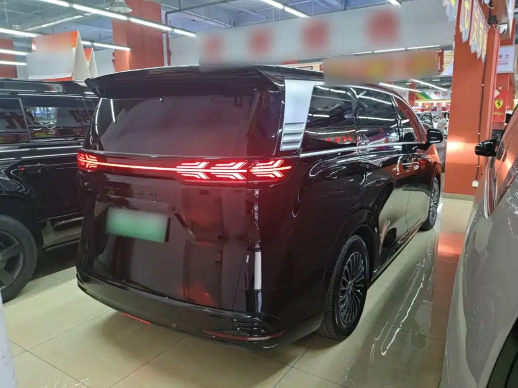 Denza Denza D9 — миниатюра 7