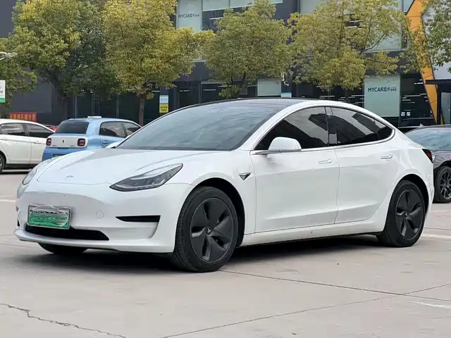TESLA MODEL 3 2020