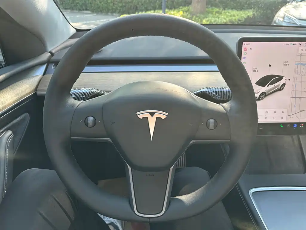 Tesla Model Y — миниатюра 17