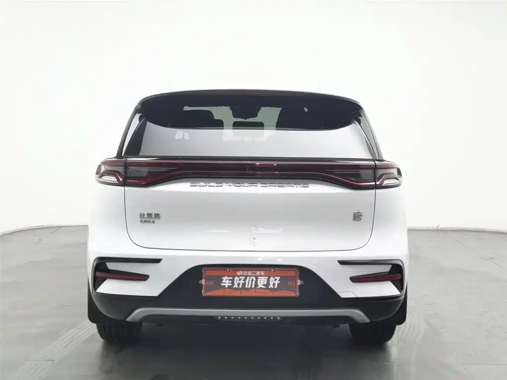 BYD TANGXIN ENERGY