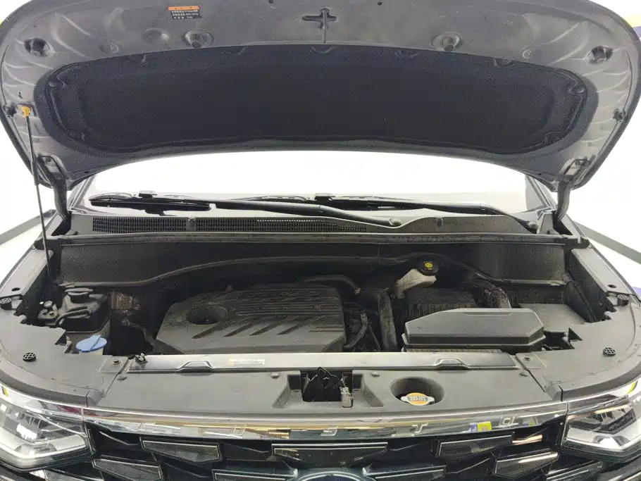 Hyundai Custo — миниатюра 10