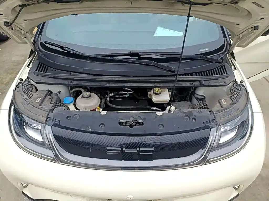 BYD Dolphin — миниатюра 20
